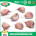 2014 New Crop Normal White Garlic Market Price